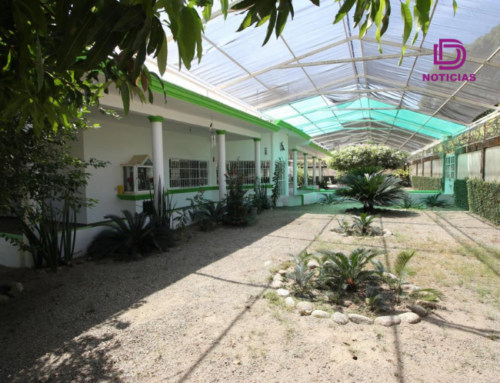 Víctimas de fraude inmobiliario exigen justicia en Chiapas