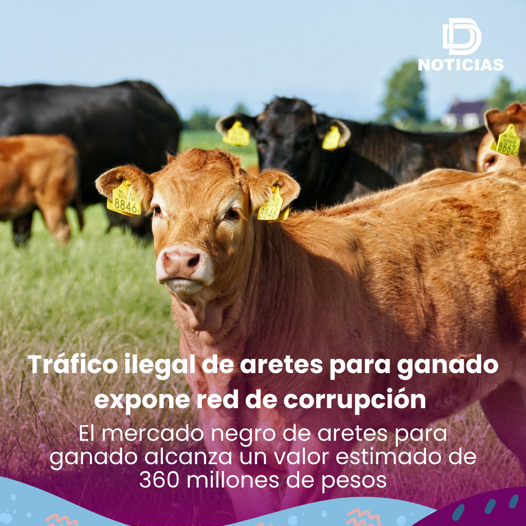 trafico-de-aretes-para-ganado Tráfico ilegal de aretes para ganado expone red de corrupción y complicidad en frontera sur