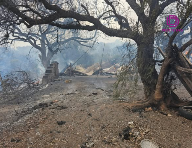 Impacto del incendio forestal en Hidalgo moviliza a corporaciones de seguridad y pobladores.