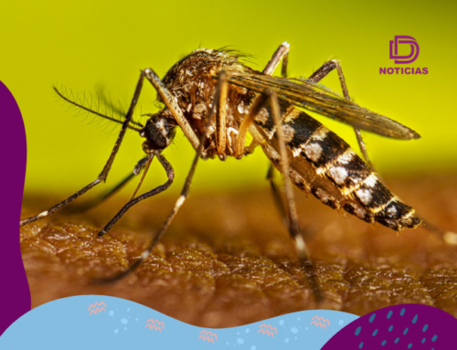 Cancún refuerza combate contra el dengue “Reporta y Aporta”