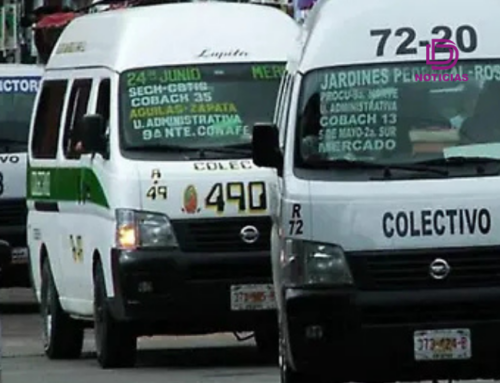 Chofer de combi en Edomex fuma presunta droga frente a pasajeros; usuarios denuncian que es una práctica común